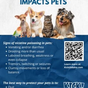 Posters: Pets and Tobacco Products (18"W x 24"H)