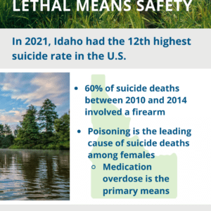 Lethal Means Rack Card