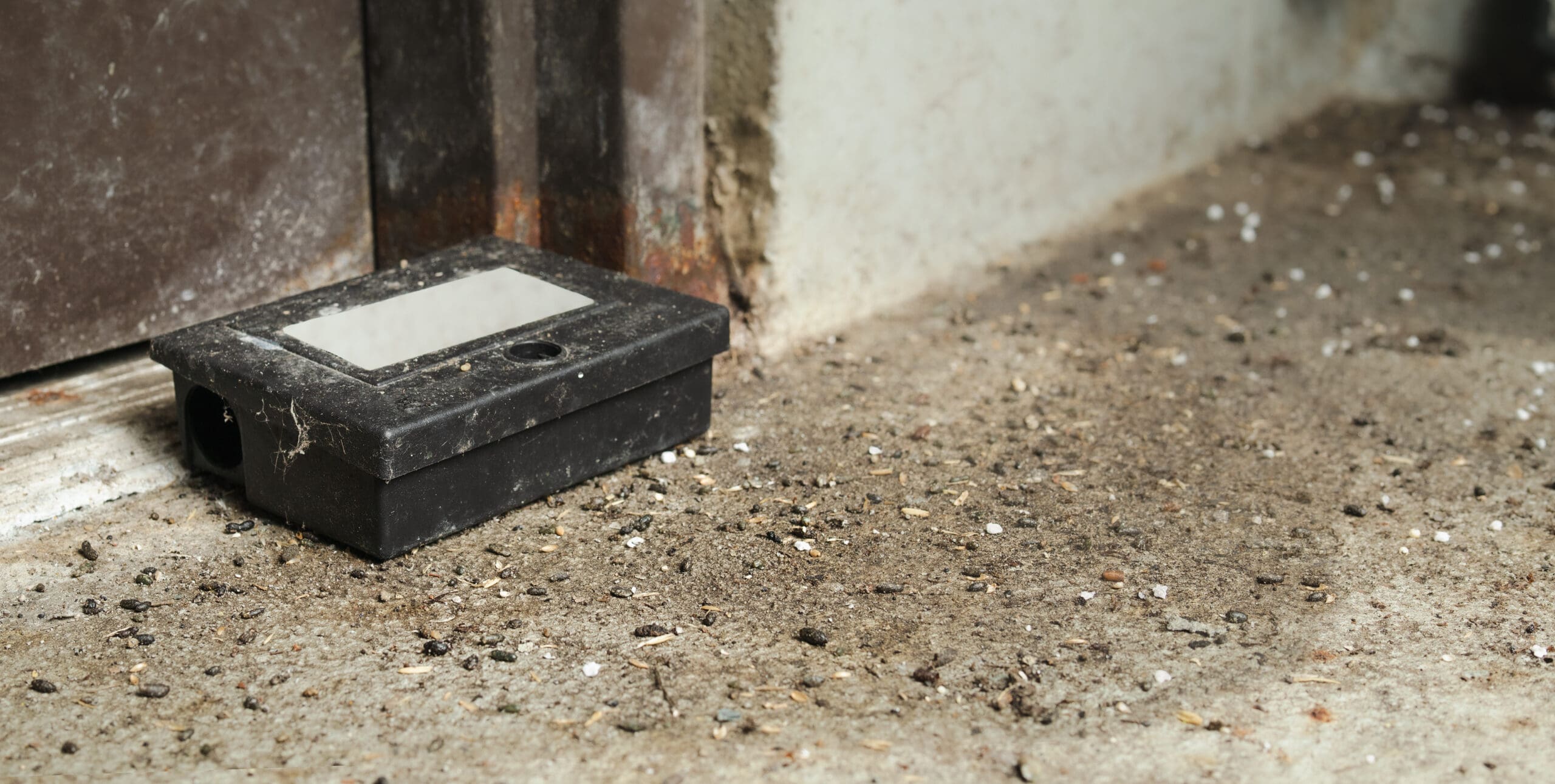 Mice infestation in service room of strata building. Failed pest control management or weak poison. Dirty ground with many rodent droppings next to an old rodent bait trap. Selective focus.