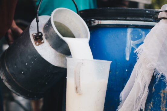 Farmer pouring raw milk from dairy farm into container for selling to industries or market